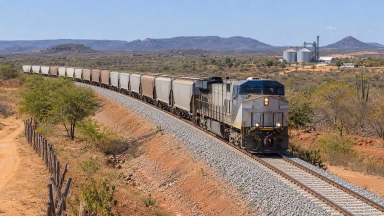Chamamento público de ferrovias prevê a reativação de sete trechos ferroviários ociosos no Brasil